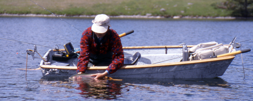 Double anchoring of a boat