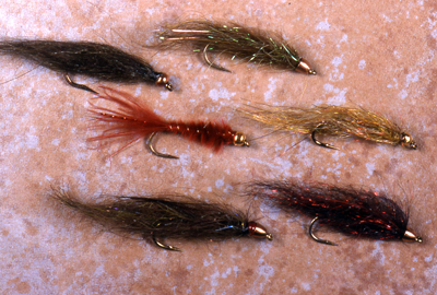 http://www.riseformflyfishing.com/Site/images/hatches/leech_flies.jpg