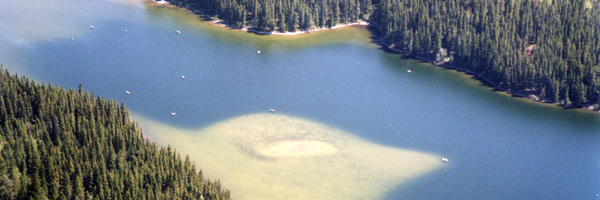 Shallow Shoal or Littoral Zone