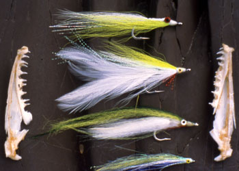 Flies fro Pike and Lake Trout Brian Chan Hosted Trips