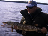 Northern Pike Wellesley Lake Brian Chan Hosted Trips